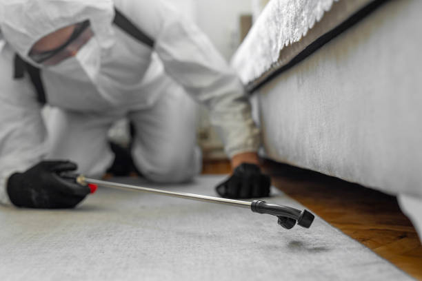 Professional Mosquito Control technician working in Rangely, CO