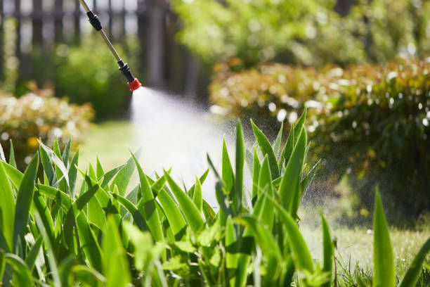 24/7 Emergency Mosquito Control experts in Rangely, CO